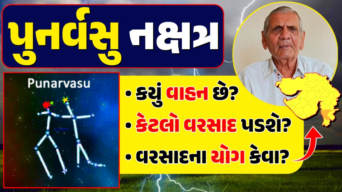 પુનર્વસુ નક્ષત્ર 2024