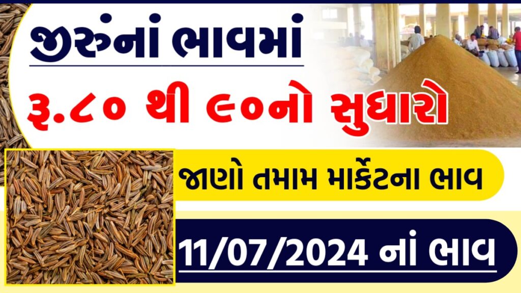 જીરા નો ભાવ આજનો