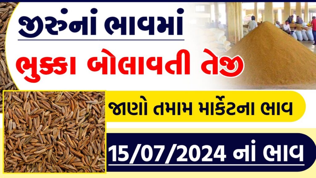 jiru price in gujarat